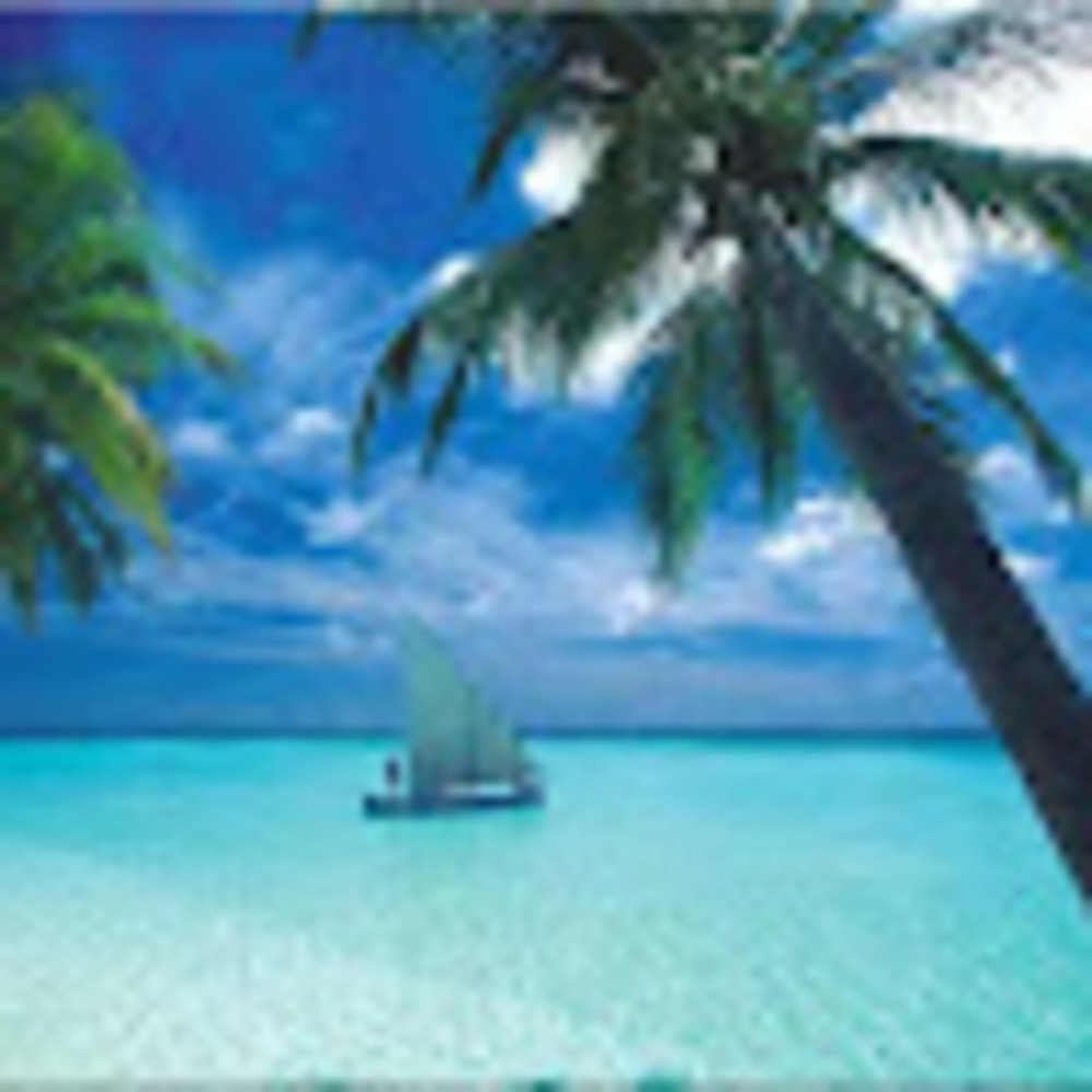 Meet your Posher, Carmel